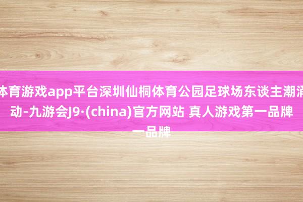 体育游戏app平台深圳仙桐体育公园足球场东谈主潮涌动-九游会J9·(china)官方网站 真人游戏第一品牌