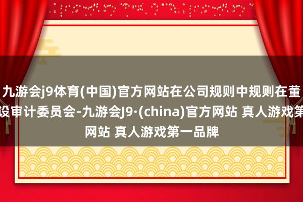 九游会j9体育(中国)官方网站在公司规则中规则在董事会中设审计委员会-九游会J9·(china)官方网站 真人游戏第一品牌