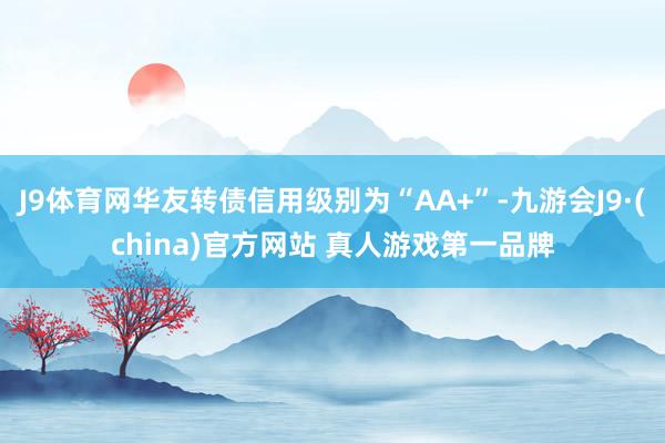 J9体育网华友转债信用级别为“AA+”-九游会J9·(china)官方网站 真人游戏第一品牌