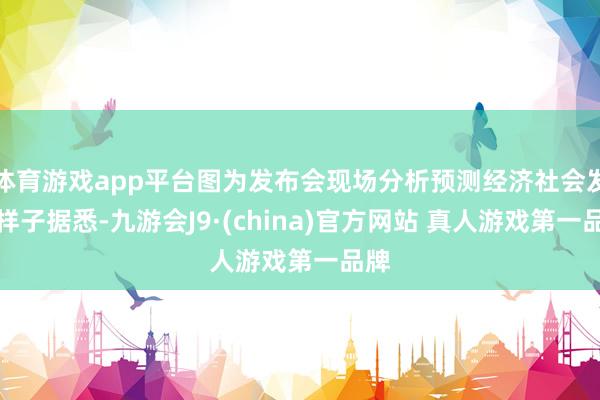 体育游戏app平台图为发布会现场分析预测经济社会发展样子据悉-九游会J9·(china)官方网站 真人游戏第一品牌